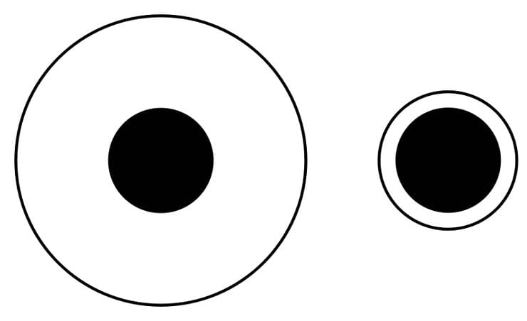Delboeuf illusion showing how plate size affects perceived portion size