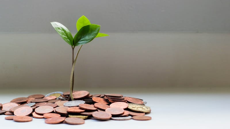 Crowdfunding and online fundraising