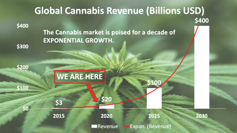 The Green Future of Cannabis Production — Future Sharks
